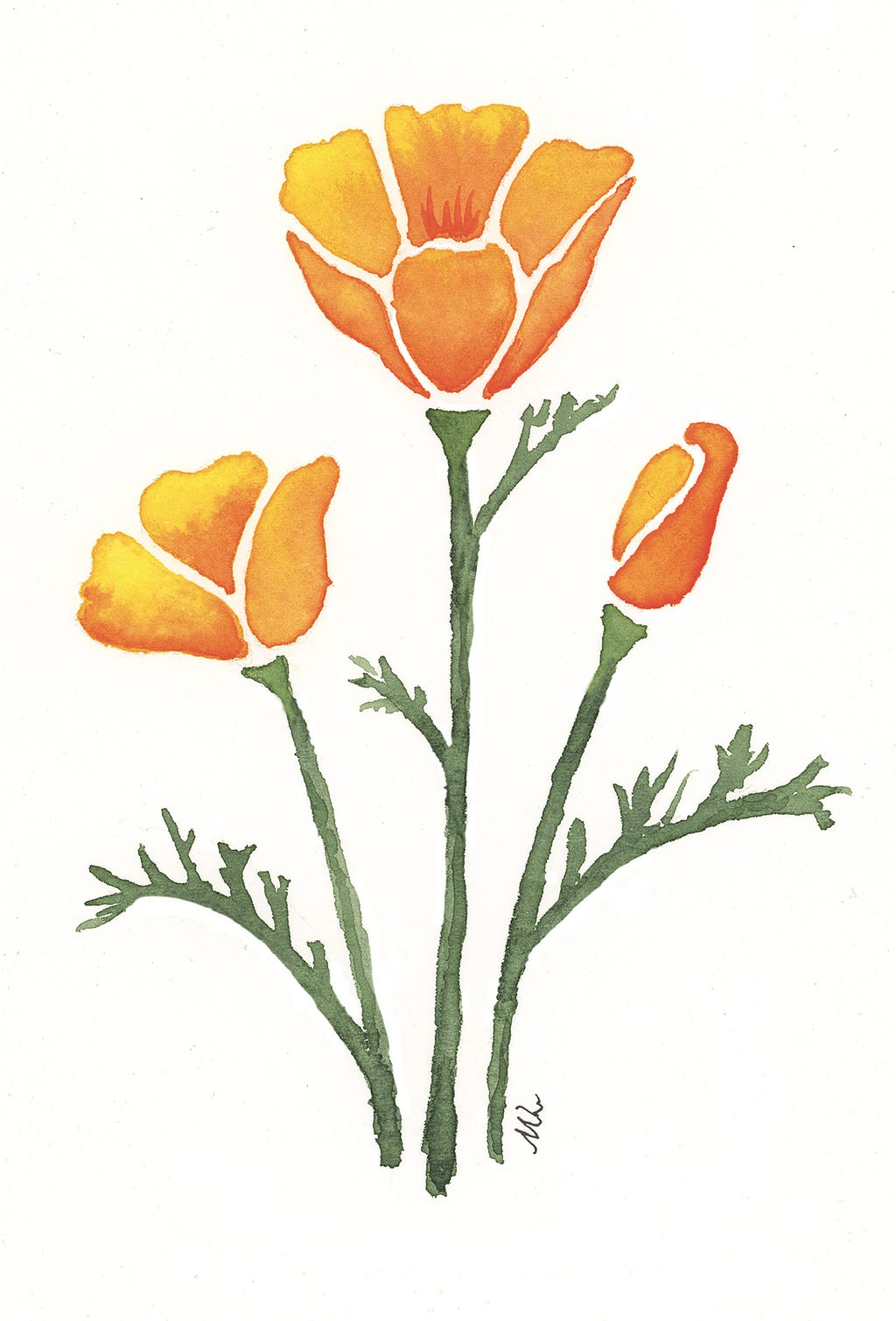 California Poppies watercolor painted by author