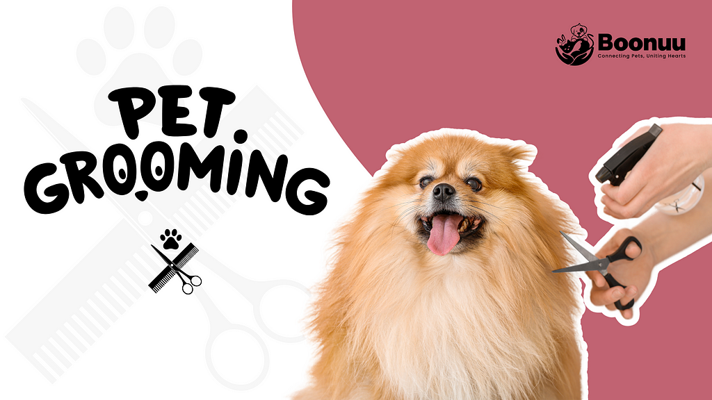 Pet Grooming Services