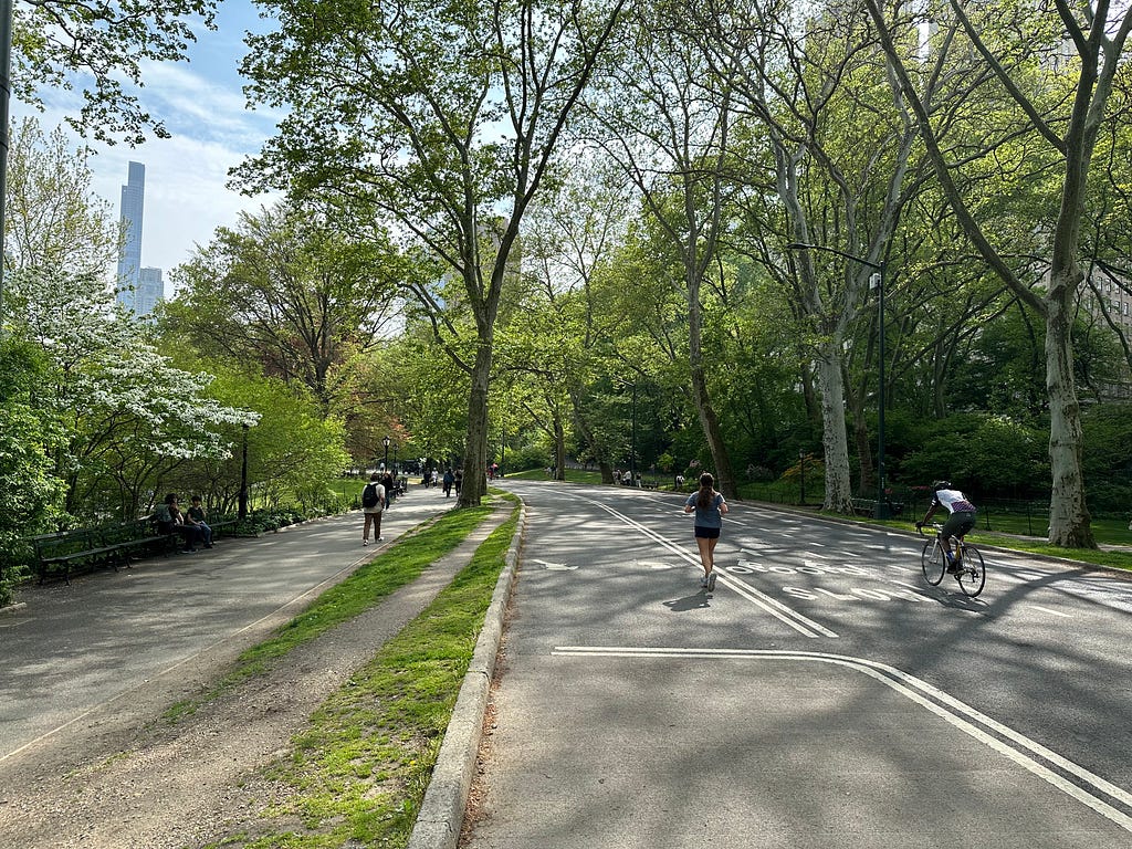 Image from Central Park in New York showing many trees, a runner and a cyclist on a road, and a tall sky scraper in the distant background.