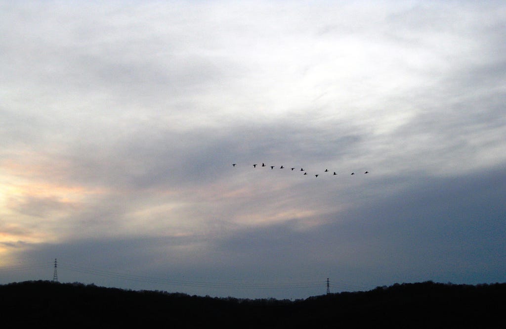Unidentified birds fly in the distance through twilit autumn skies over the Korean DMZ.