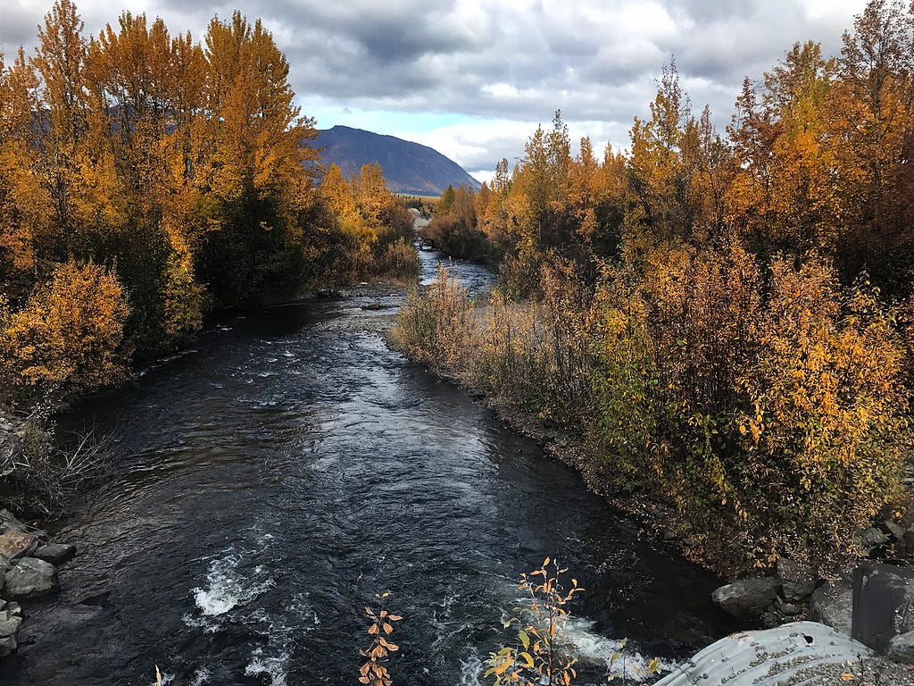 a river surrounded by fall leaves with a mountain downstream