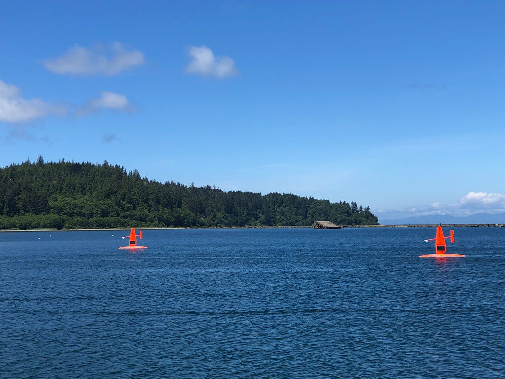 Saildrones in Neah, Bay, Washington