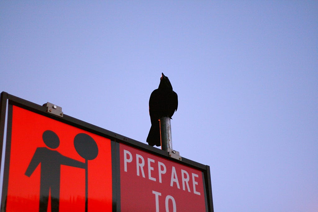 The view looks upward at a black bird perched atop a sign. All we can read of the sign is: “PREPARE TO,” and on the left side we see a silhouette-image of a person holding a traffic sign.