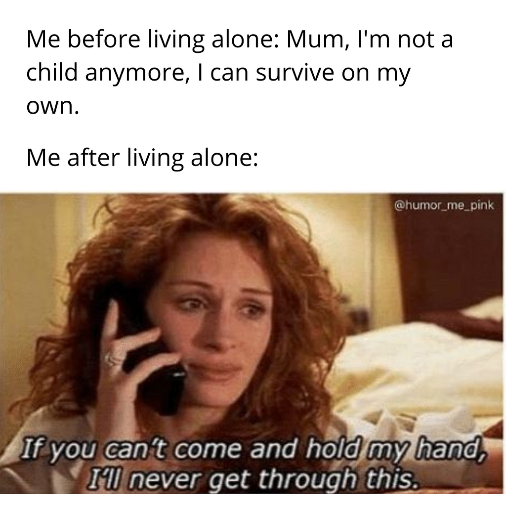 living alone meme julia roberts