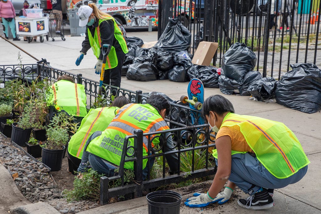 Volunteers and DEP employees work on planting new plants in a rain garden in Brooklyn.