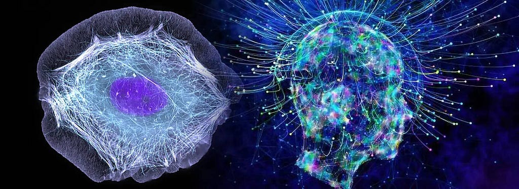 Image of a colorful cell connected to an image of a transparent human head