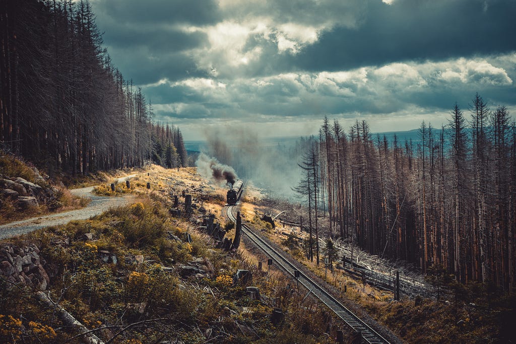 train on traintracks going through a broken forest