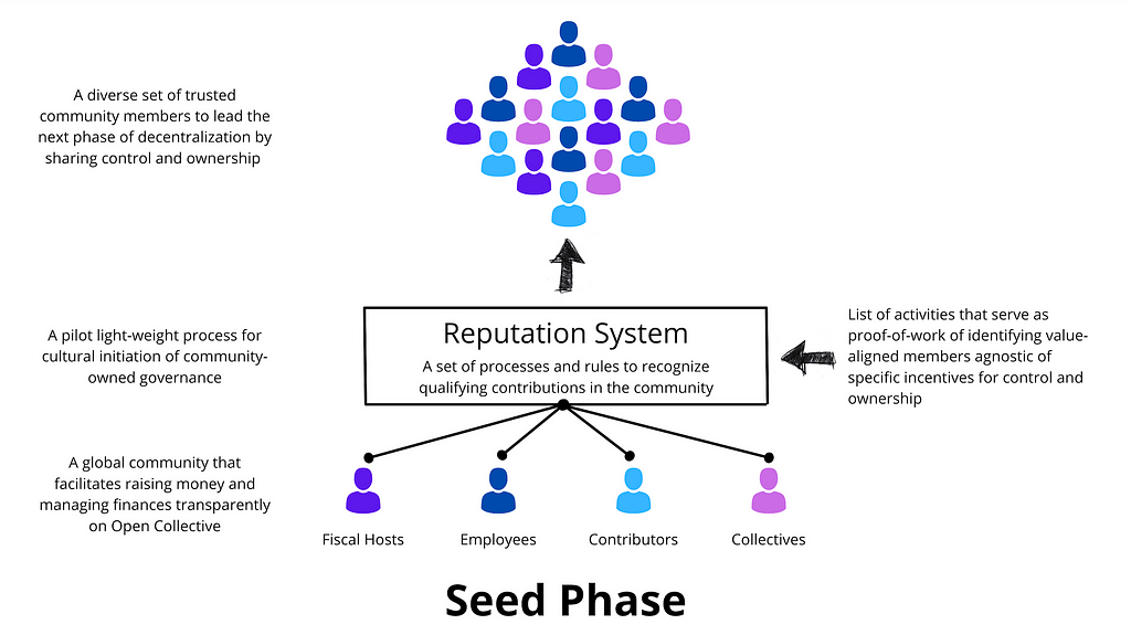 A visual depiction of activities in the Seed Phase