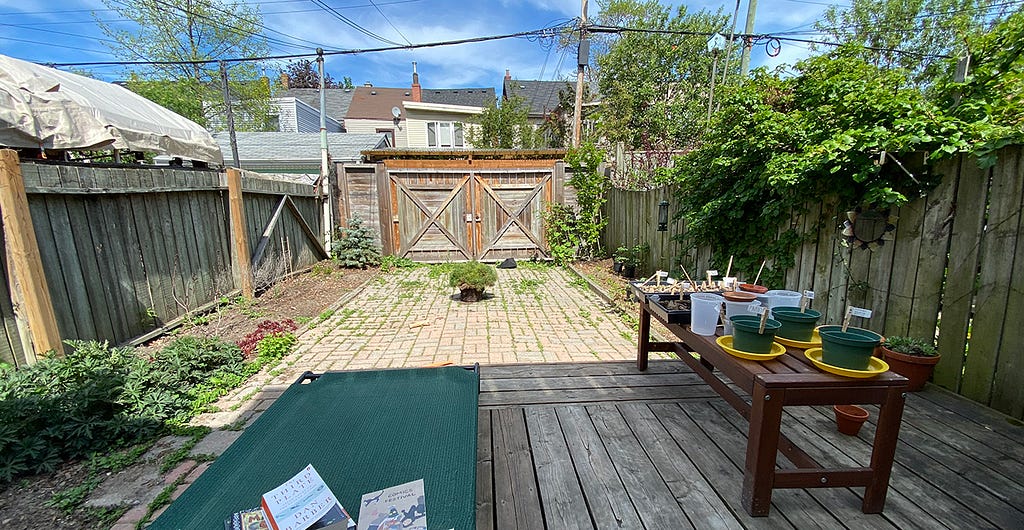 A backyard garden.