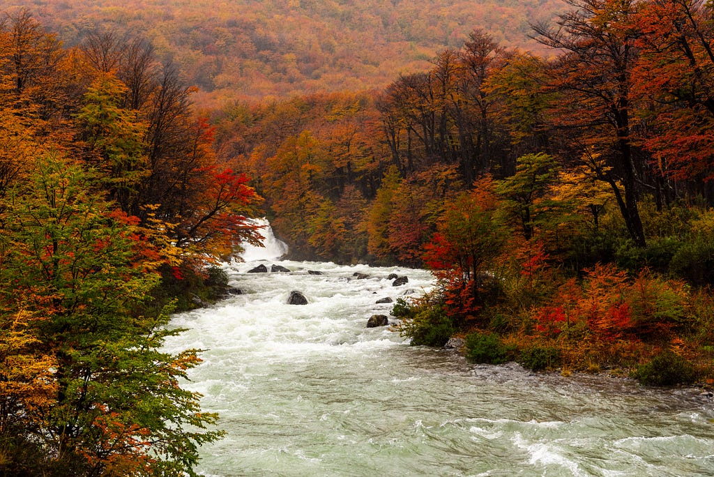 We left early in the morning, heading out to the beechwood forest for some autumn color photography. It was raining when we left and was still raining when we arrived at this lovely river rushing over a waterfall. It was roaring as it tumbled over rocks on its way to the sea. Fog enshrouded the mountains above the waterfall. The forest was alive with color, filled with reds, greens, oranges, and yellows. It was autumn in Patagonia.