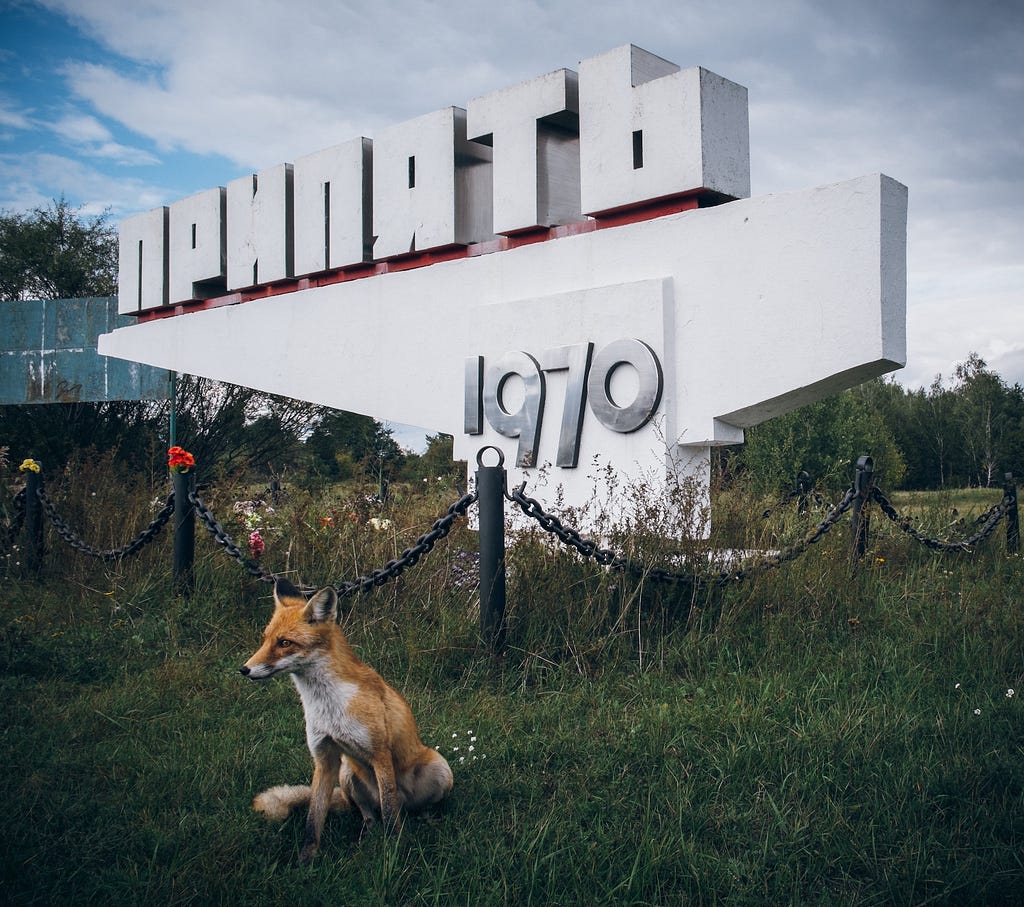 Pripyat Sign with Red Fox — Photo by G Meyer