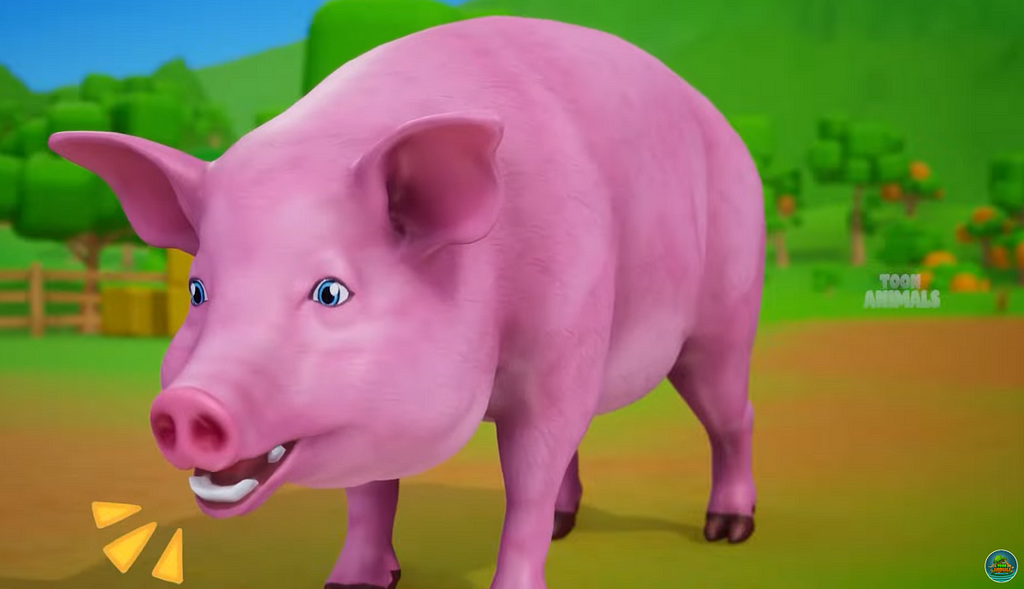 Pig