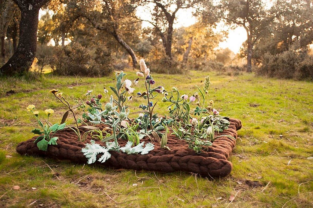 One Square Meter photographed in nature.