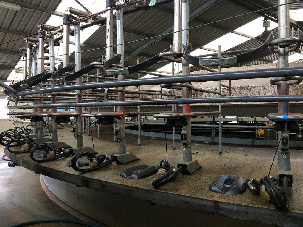 Rotary-Milking System