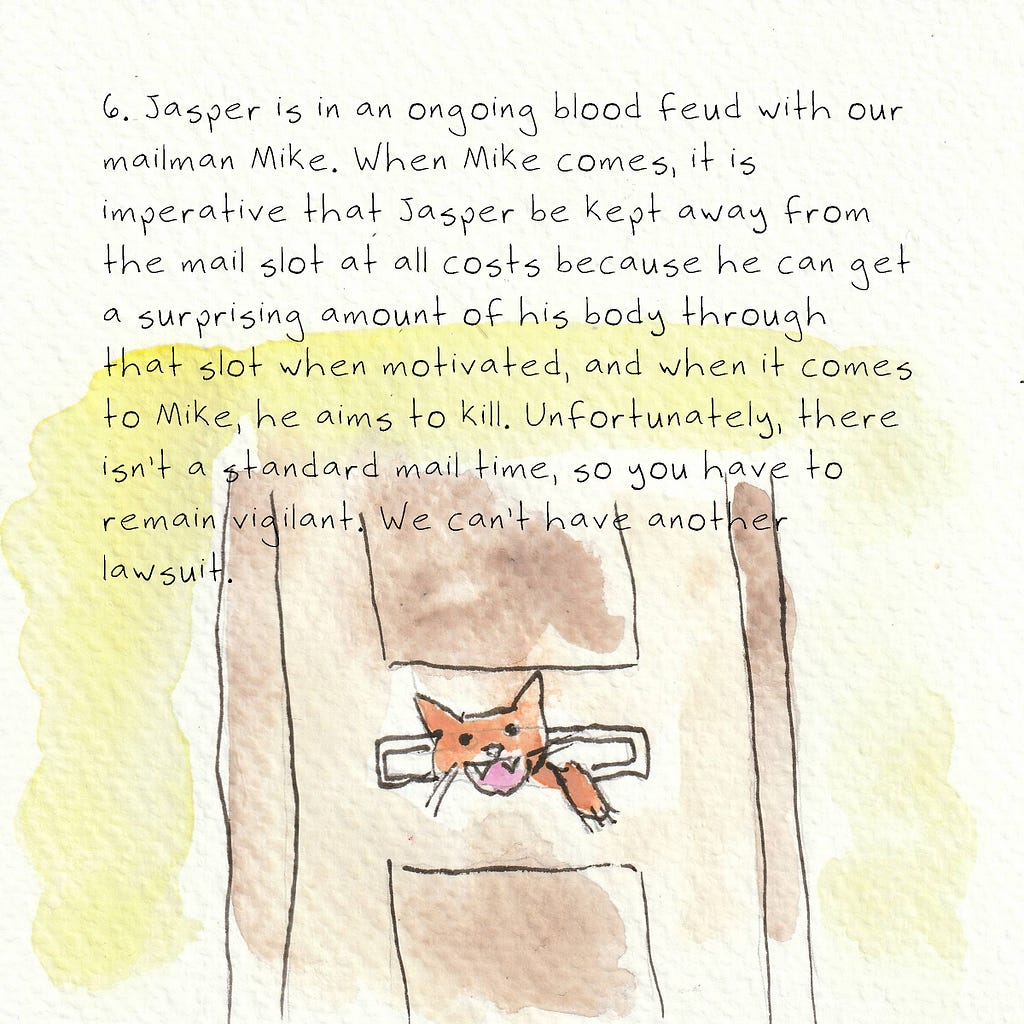 An angry orange cat sticks his head and paw out a mail slot in a brown door. Text reads: 6. Jasper is in an ongoing blood feud with our mailman Mike. When Mike comes, it is imperative that Jasper be kept away from the mail slot at all costs because he can get a surprising amount of his body through that slot when motivated, and when it comes to Mike, he aims to kill. Unfortunately, there isn’t a standard mail time, so you have to remain vigilant. We can’t have another lawsuit.