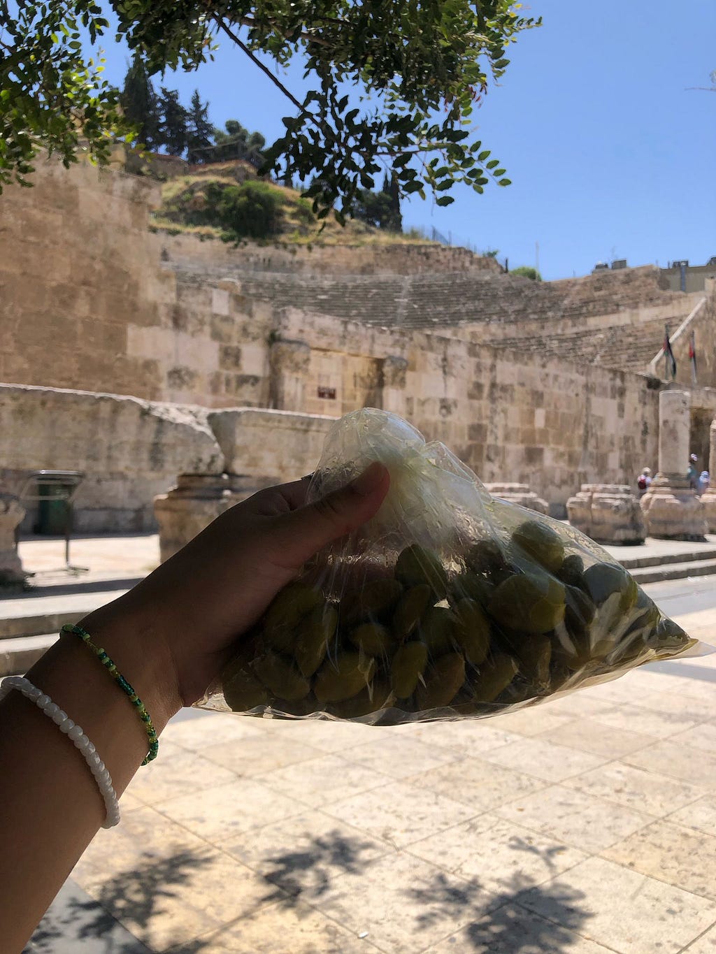 7 days jordan itinerary olives