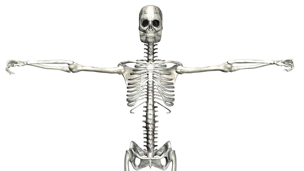 A skeleton in T-pose