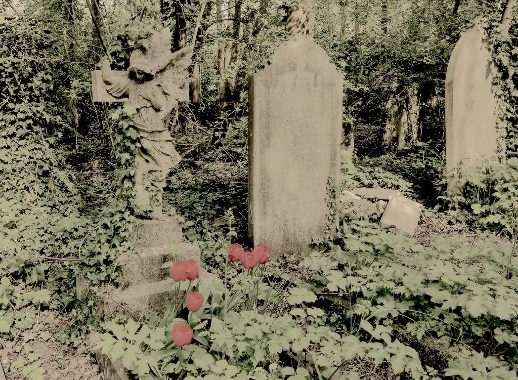 Three graves with some red tulips growing in front of them