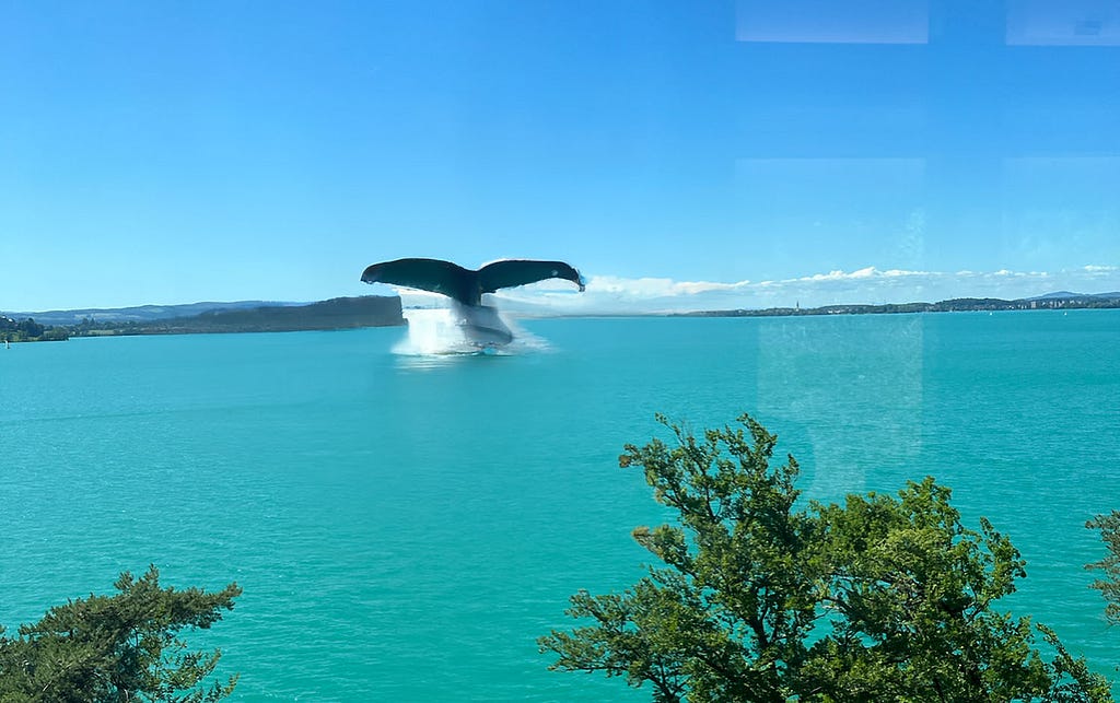 AI generated image of a blue whale’s tail appearing from Lake Zug, Switzerland