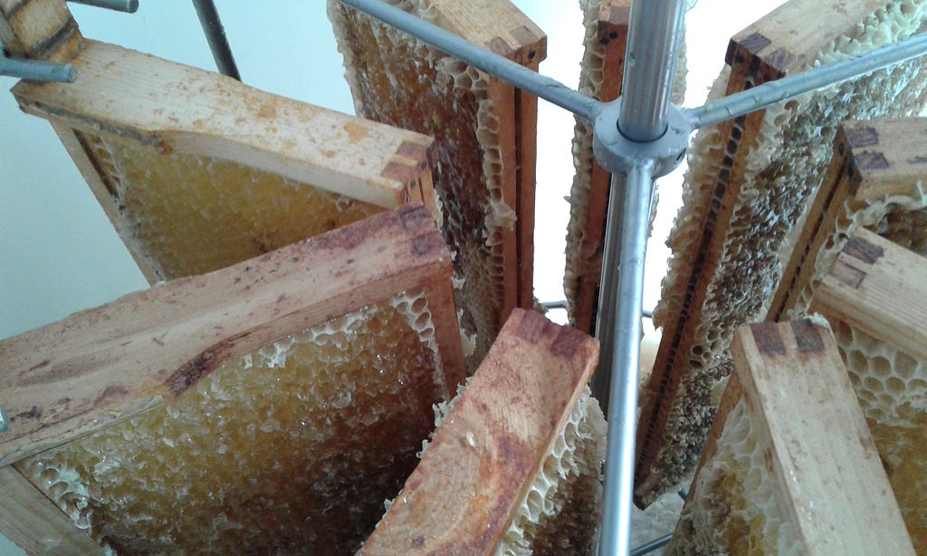 [Image Description: Close angle of the internal centrifuge of a honey extractor, containing 9 frames of uncapped honeycomb]