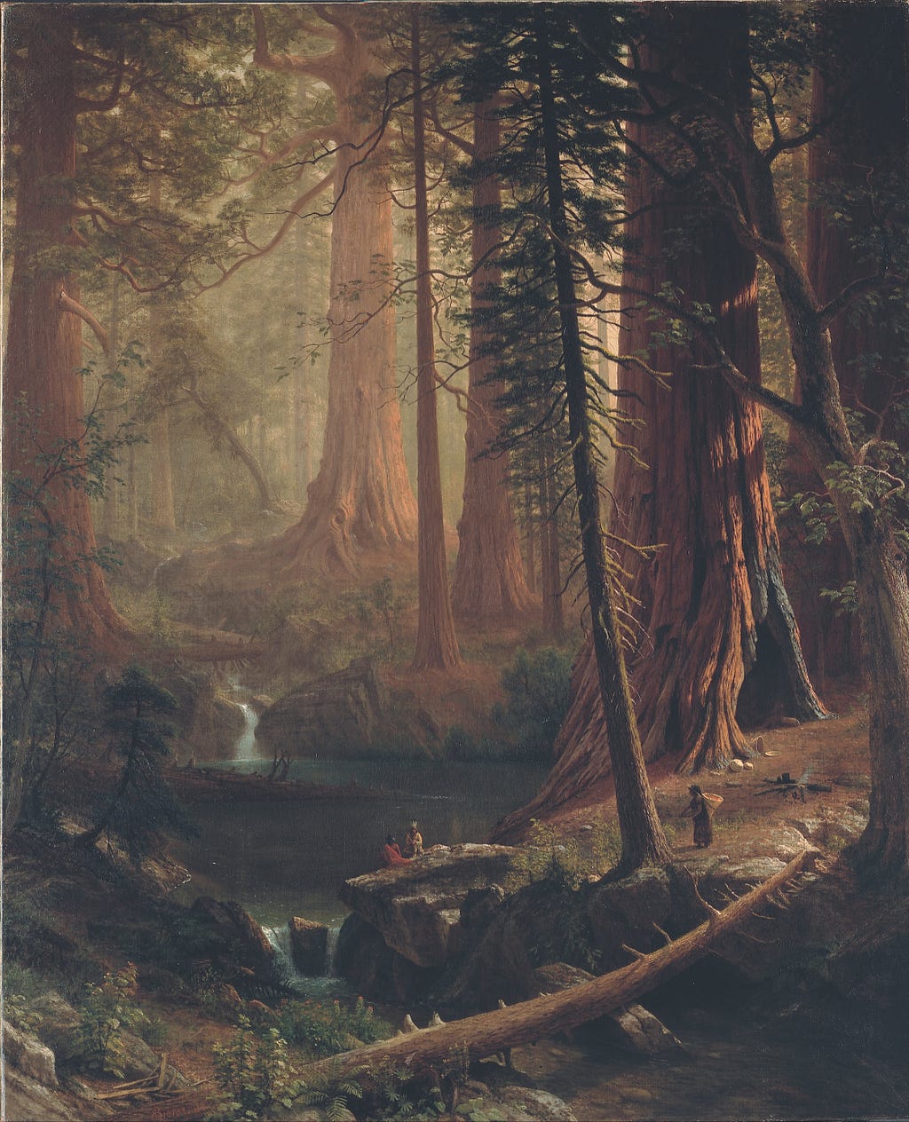 Giant Redwood Trees of California an oil painting from 1874 by  Albert Bierstadt. In order to help the viewer to understand the sheer scale of these huge Redwood trees, the artist places several figures in the foreground who look pretty tiny in comparison.