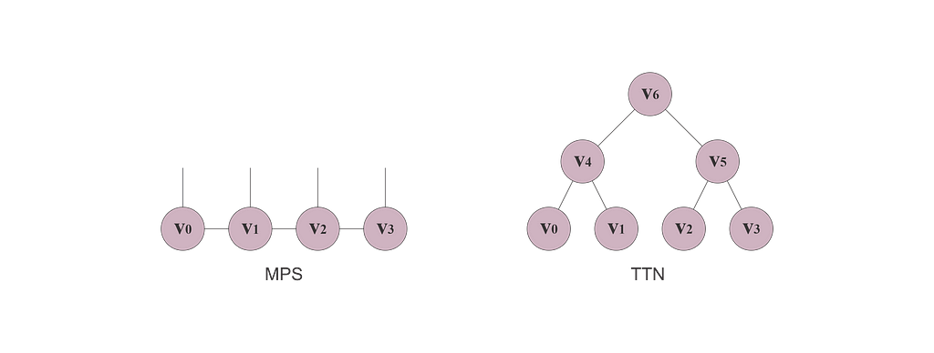 MPS and TTN networks