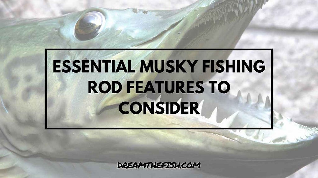 Essential Musky Fishing Rod Features to Consider