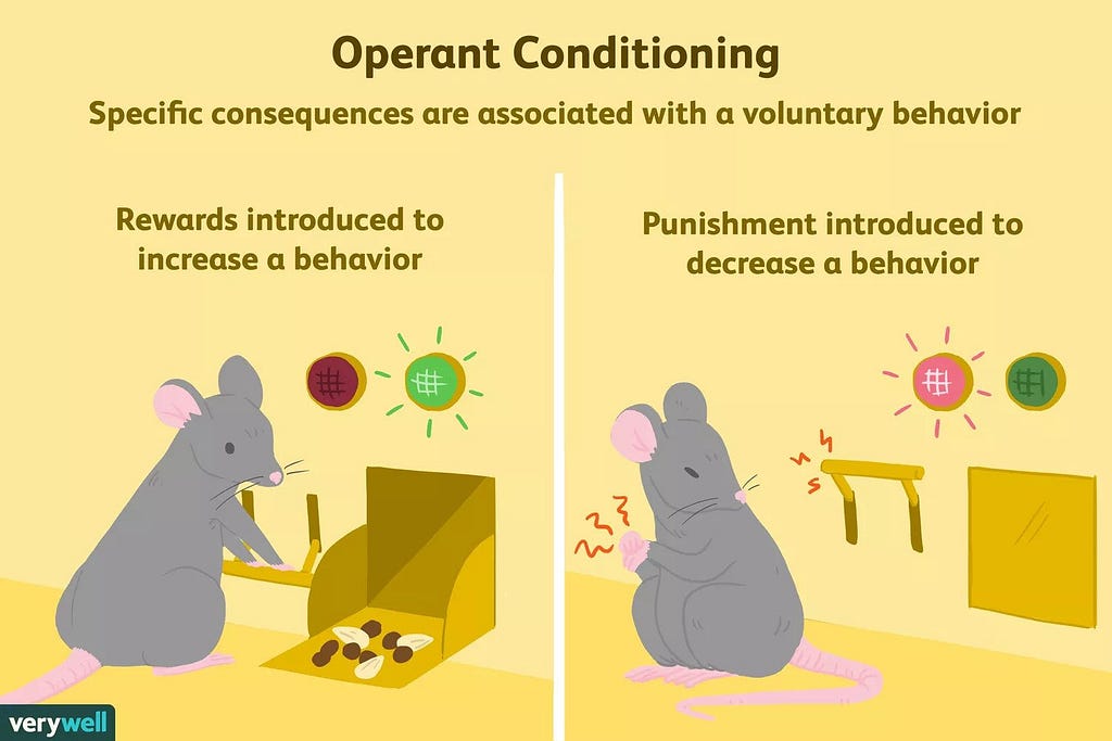 Operant Conditioning explanined with a rat example