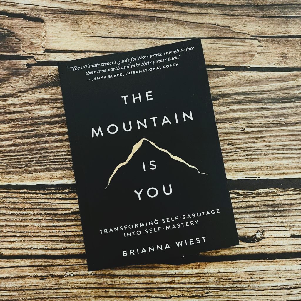 The Mountain Is You — Why Your Biggest Enemy Might Be Yourself (And How This Book Helps You…