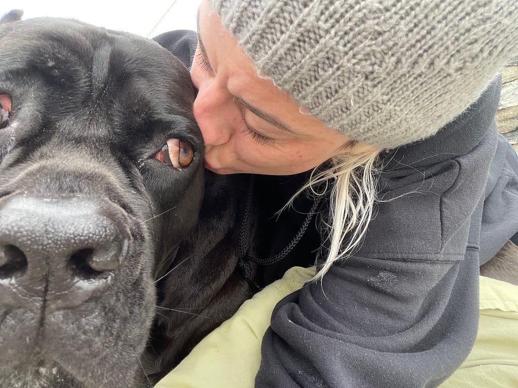 A distraught woman with blonde hair kisses the head of her cane corso dog on the last day of his life.