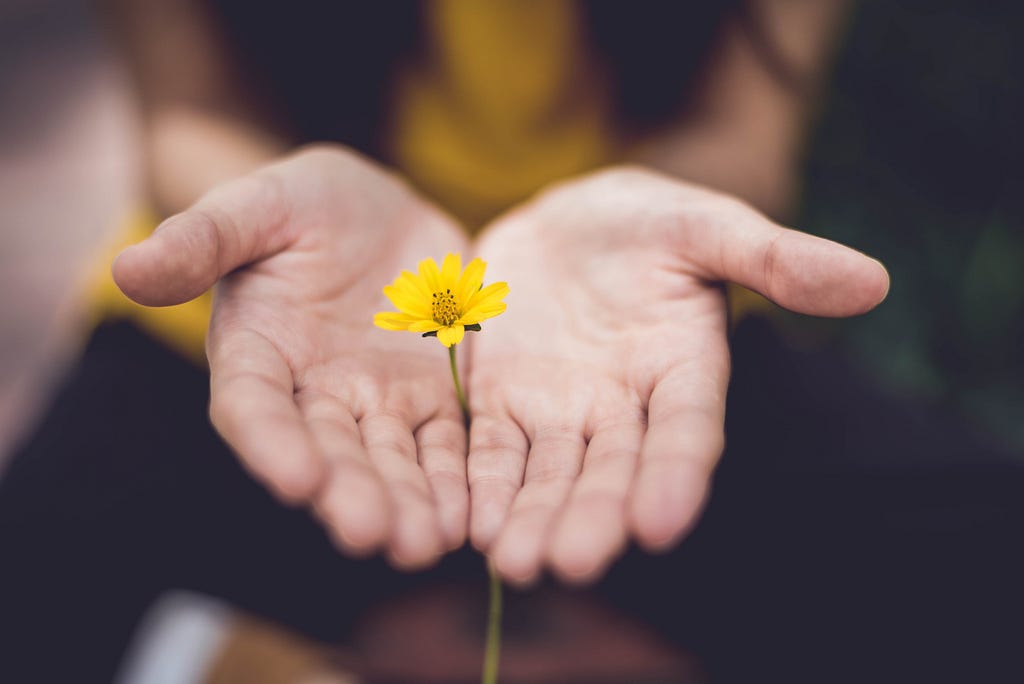 a woman with her palms together facing up holding a single yellow flower