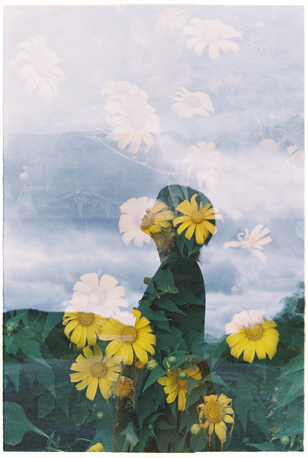 Silhouette of a person overlaid by a background of yellow flowers.