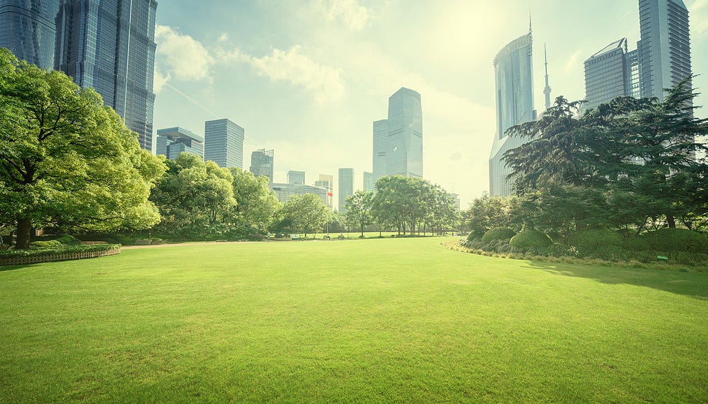 the best of both worlds — city scrapers and green parks