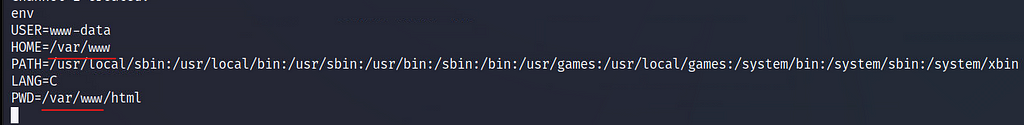 To view the environment variables, enter the “env” command while in the bash shell.