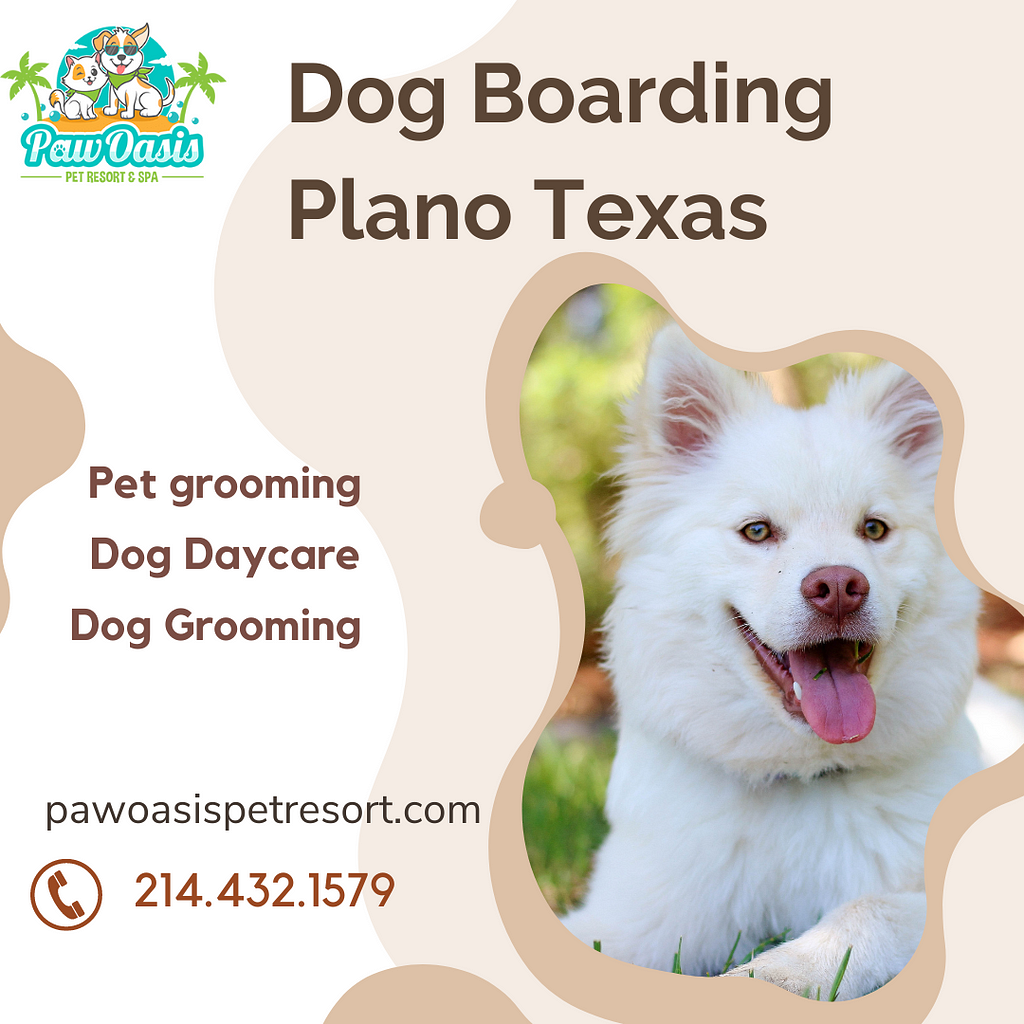 Dog Boarding Plano Texas