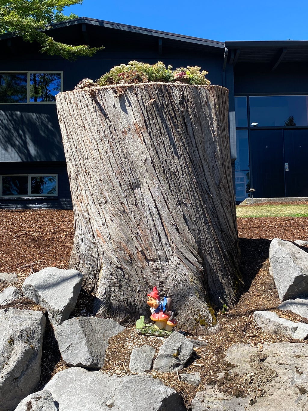 The remains of the tree with the succulent garden on top and a troll village starting around the stump.