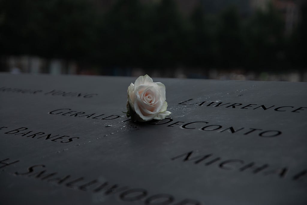 White rose on 9/11 memorial