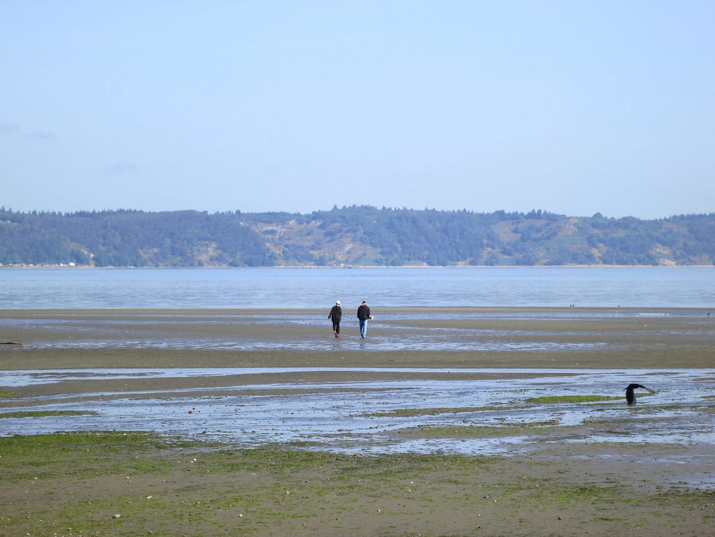 Photo of two people strolling along the beach at Dash Point, Washington, at low tide. Photo credit: Ruth Hartnup.