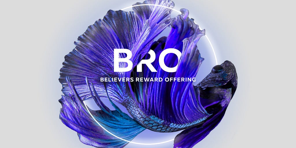 BRO: Believers Reward Offering