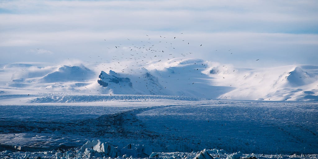 An arctic landscape with some snowy mountains in the distance. Birds are visible in the background.