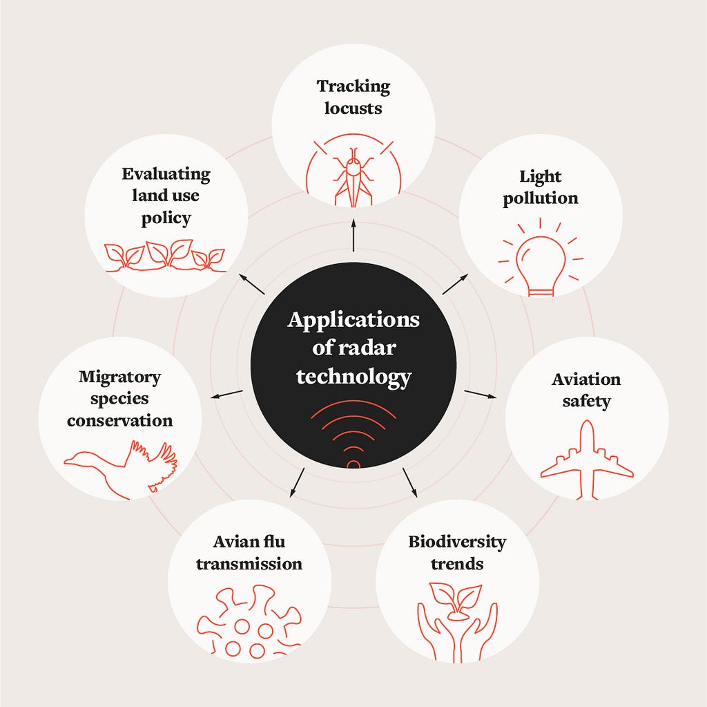 Applications of radar technology