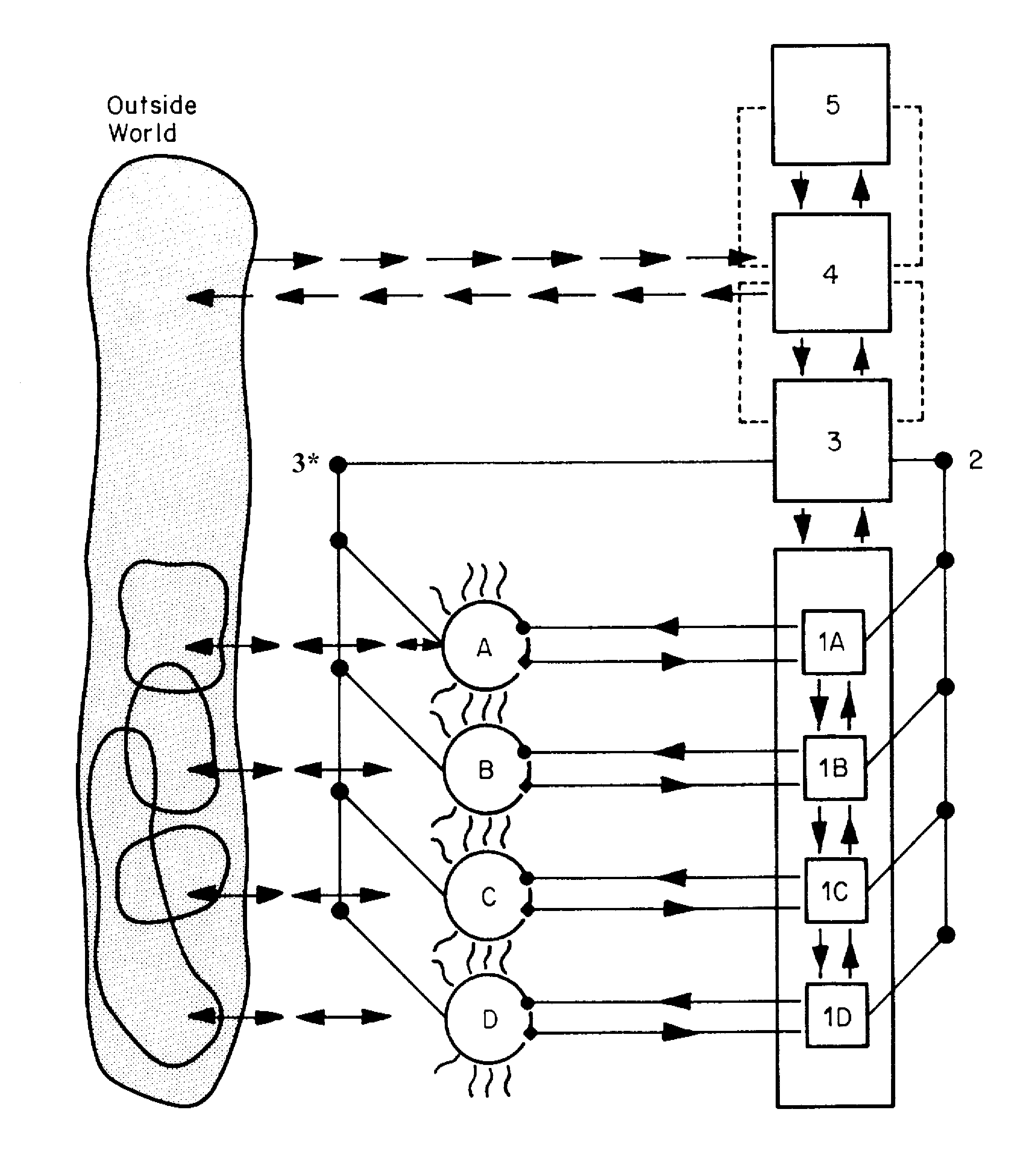 A diagram of Stafford Beer’s Viable System Model, showing Systems 1 (A through D), interconnected and stabilized by System 2, managed by System 3, and adapted by Systems 4 and 5.