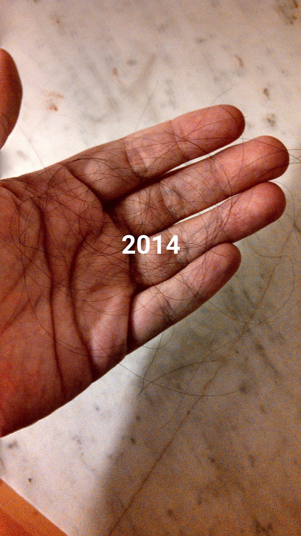 Photo of a few long hairs in a hand with the year “2014” over the middle of the image.