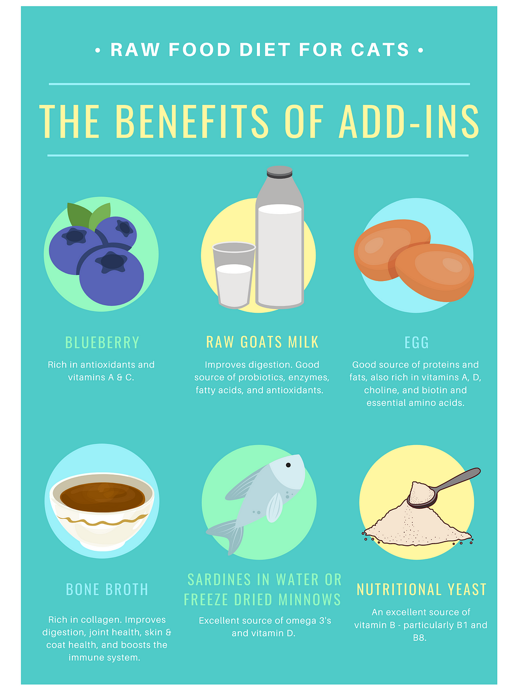 A diagram of healthy add-ins and their benefits.
