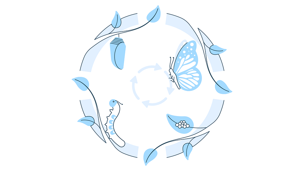 An illustration of the life cycle of a butterfly. Along a ring of leaves is a leaf with eggs attached, a caterpillar, a chrysalis, and an adult butterfly all rendered in line art with blue hues.