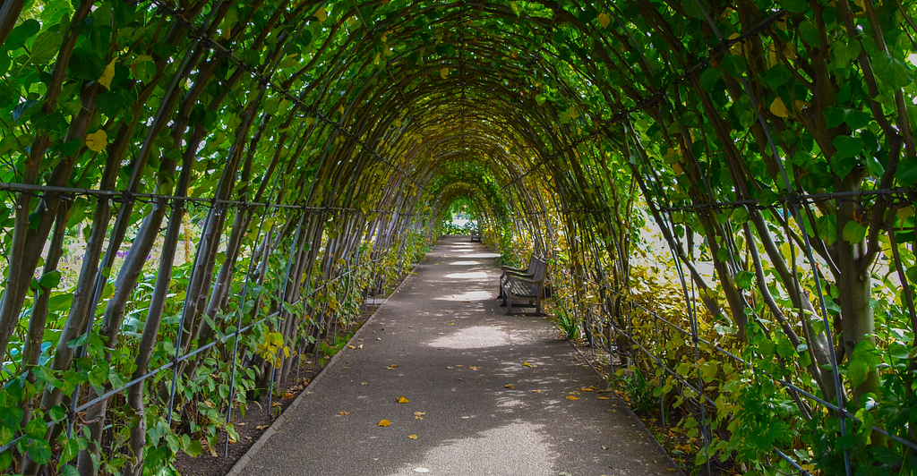 Walled garden with archway