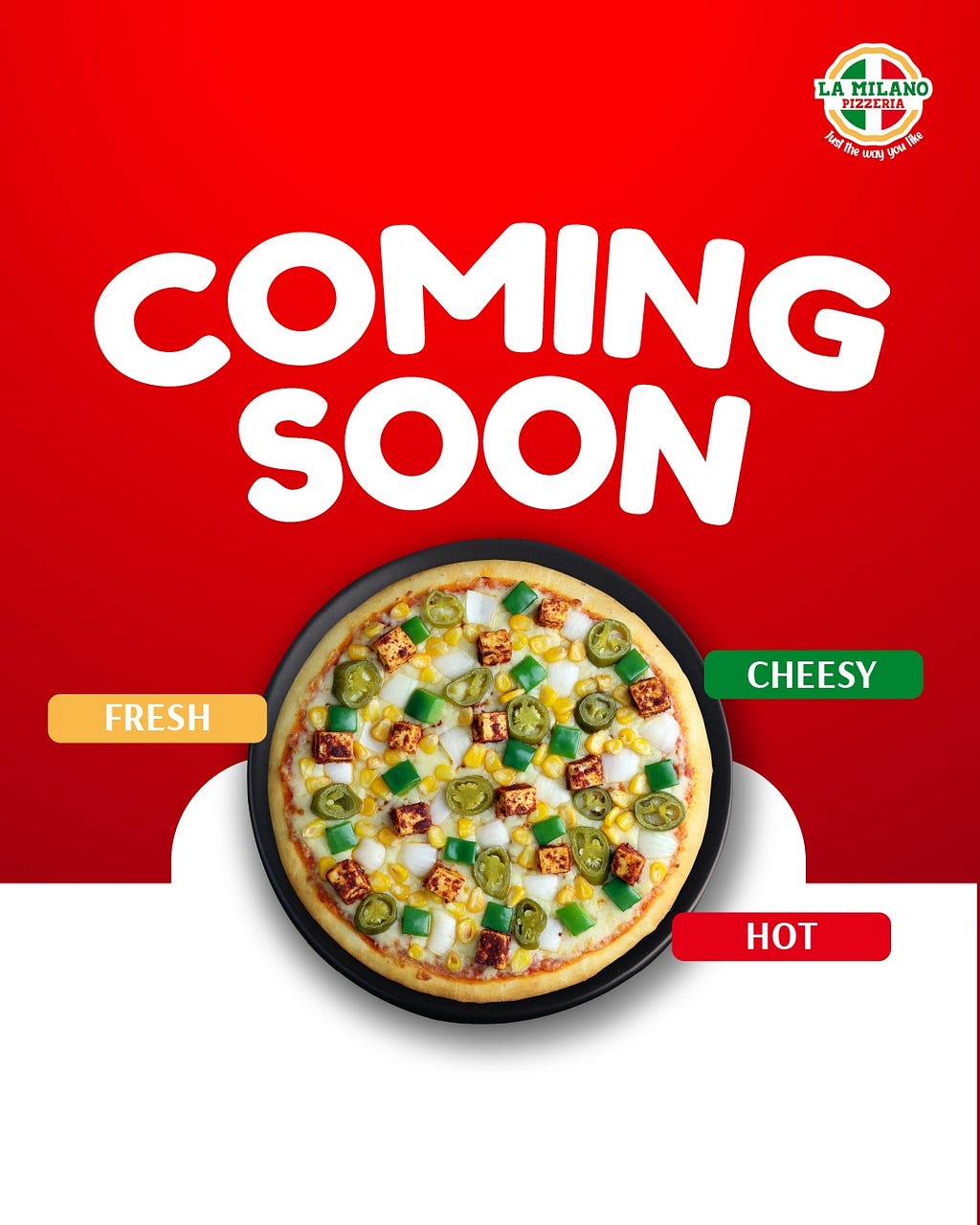 Best Pizza Franchise in Ahmedabad