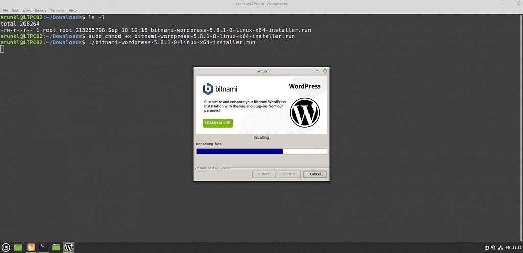 WordPress installation in progress