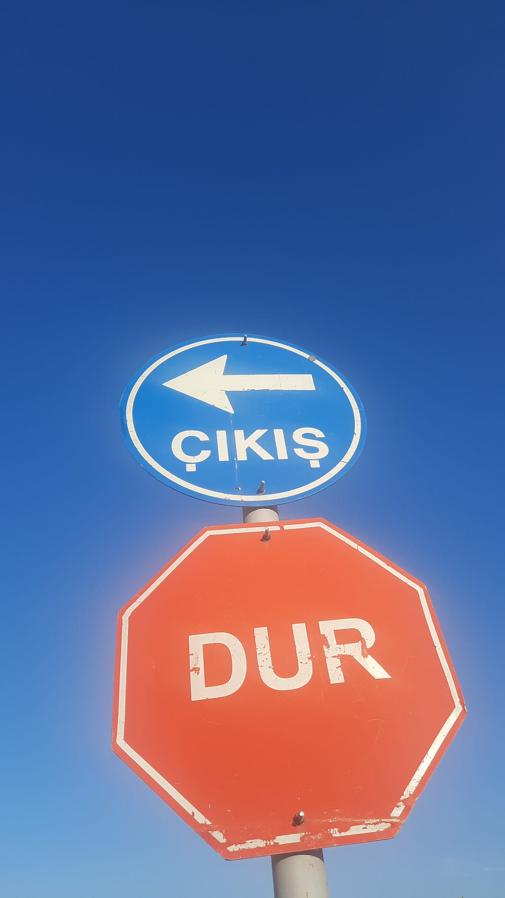 Vicdanın Çıkmazı