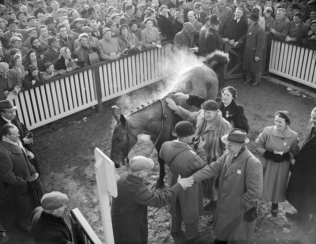 Gay Donald, winner of the 1955 Cheltenham Gold Cup